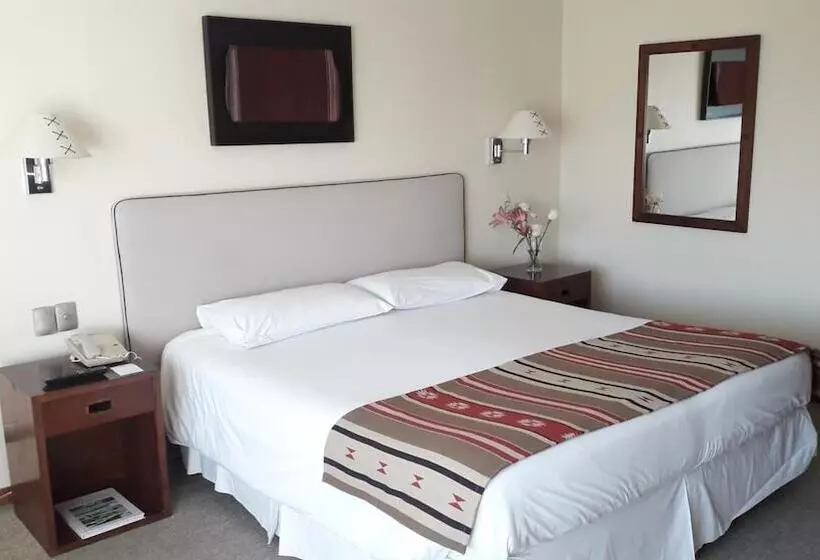 Fotos del hotel Almacruz Hotel Y Centro De Convenciones (ex Galerías):  21