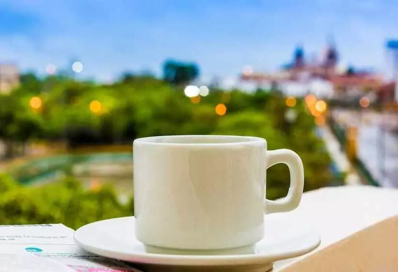 Fotos del hotel Dorado Plaza Centro Histórico:  12