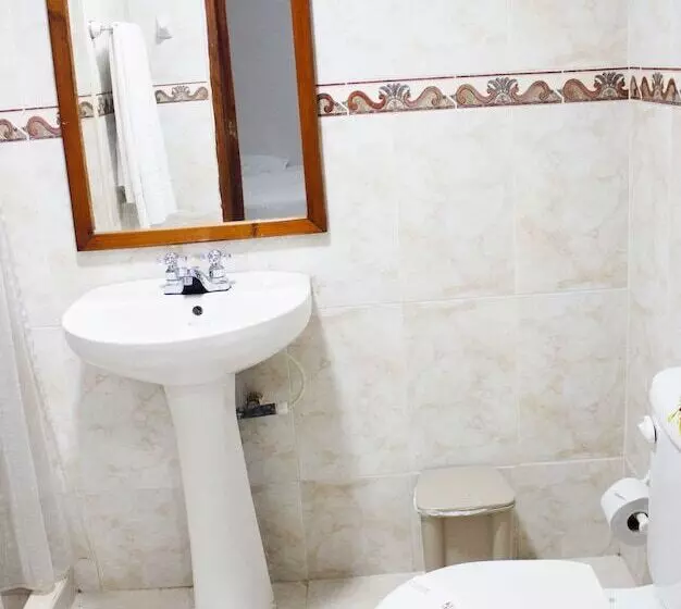 Fotos del hotel Dorado Plaza Centro Histórico:  6