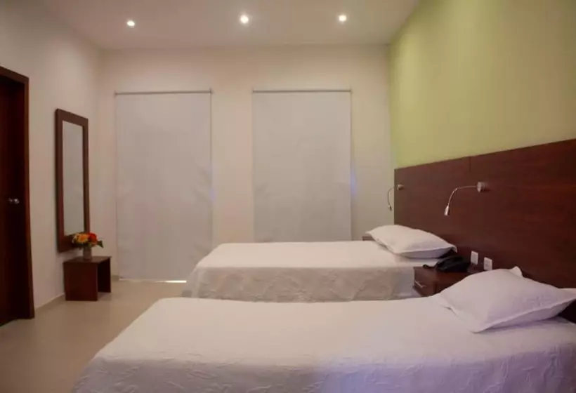 Fotos del hotel Dorado Plaza Centro Histórico:  23