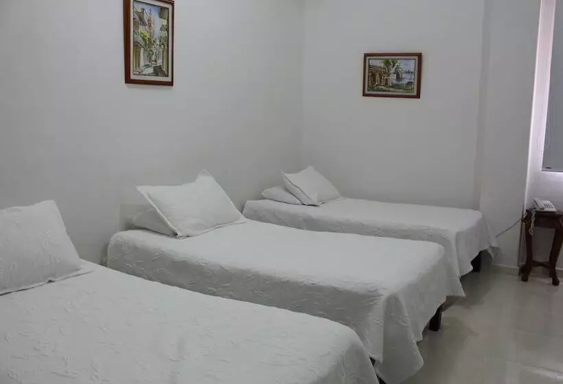 Fotos del hotel Dorado Plaza Centro Histórico:  14