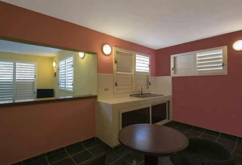 Fotos del hotel Gran Caribe Villa Tortuga:  14