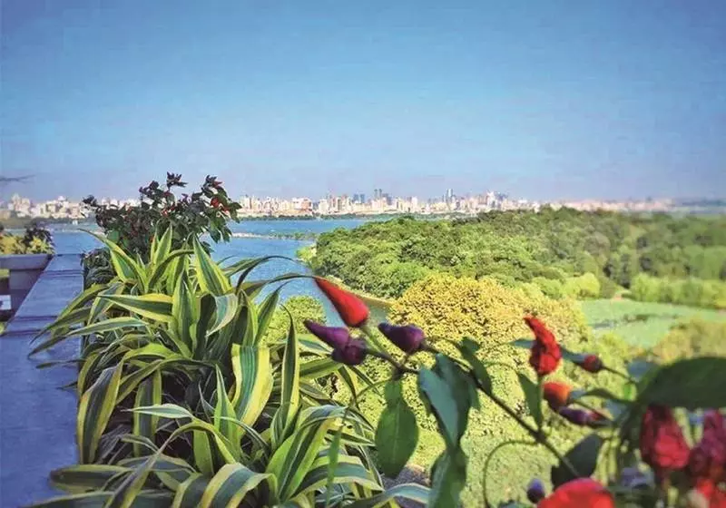 Fotos del hotel Shangrila Hotel, Hangzhou:  10