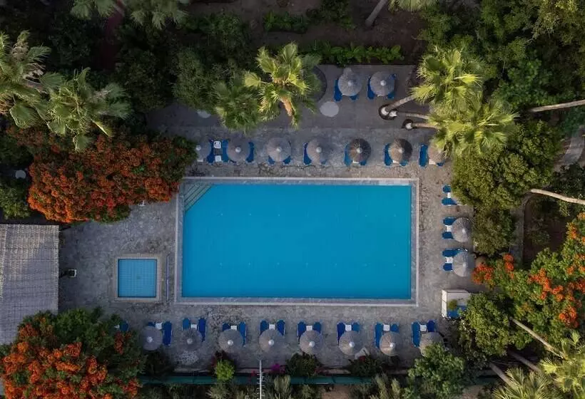 Fotos del hotel Veronica:  3