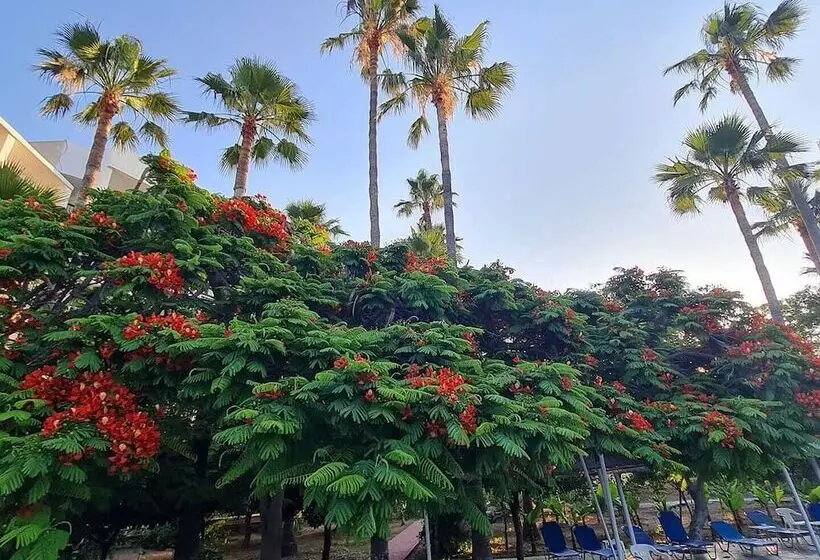 Fotos del hotel Veronica:  23