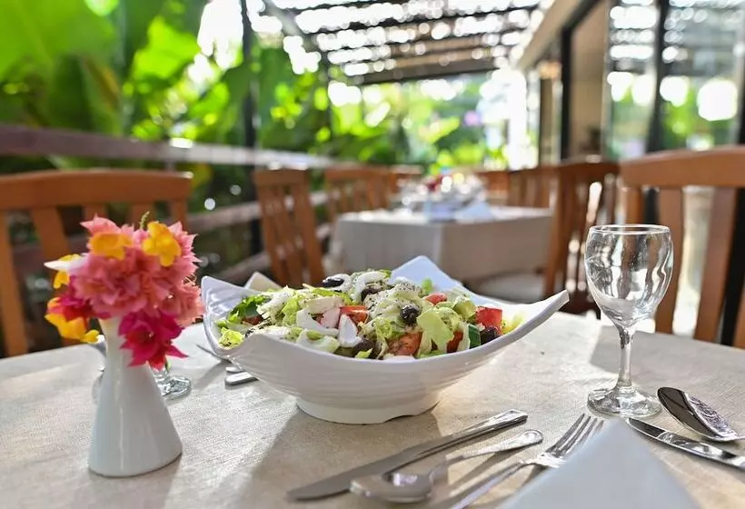 Fotos del hotel Veronica:  13