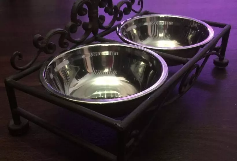 Fotos del hotel Am Volksgarten:  7