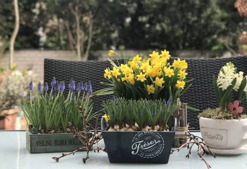 Fotos del hotel Cascade Superior:  13