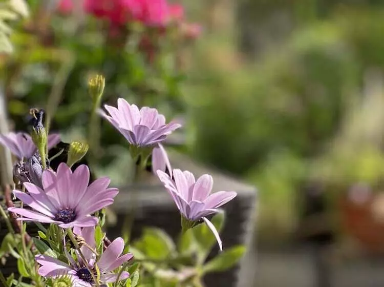 Fotos del hotel Cascade Superior:  2