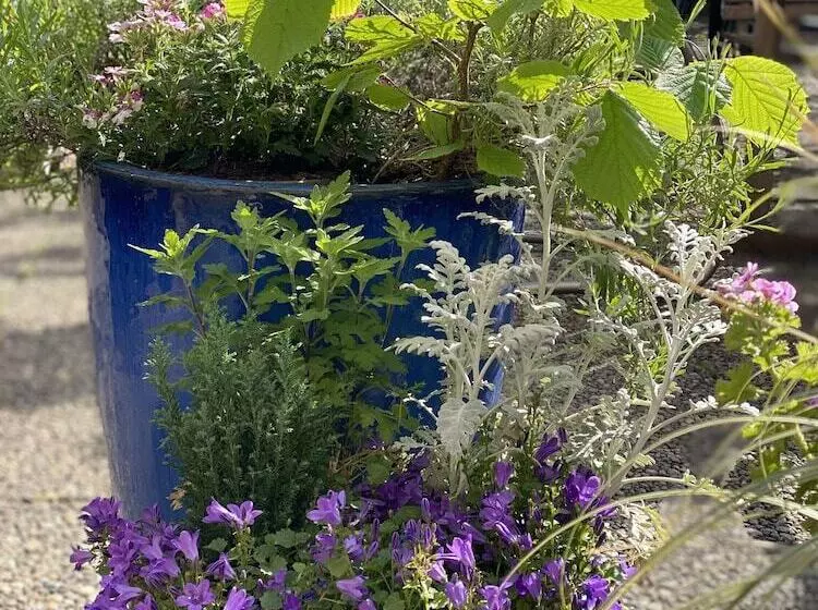 Fotos del hotel Cascade Superior:  11