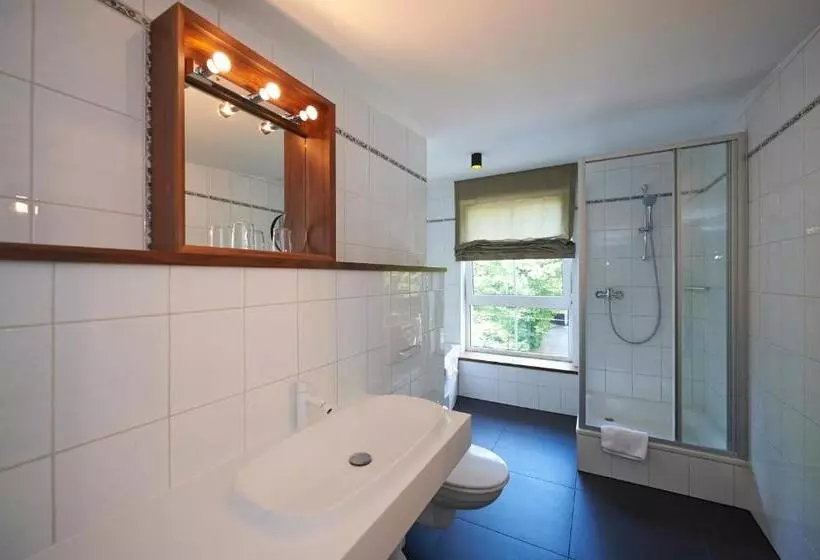 Fotos del hotel Prinz Myshkin Park:  6