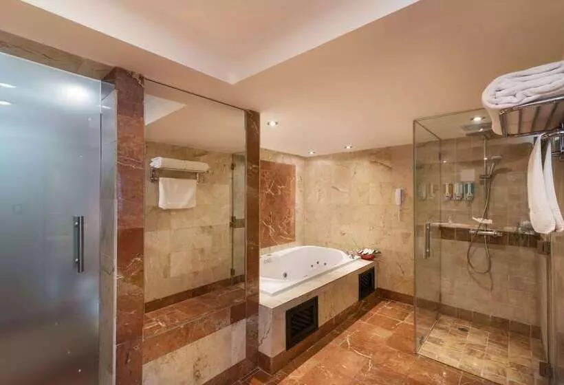 Fotos del hotel Barcelo Santo Domingo:  39