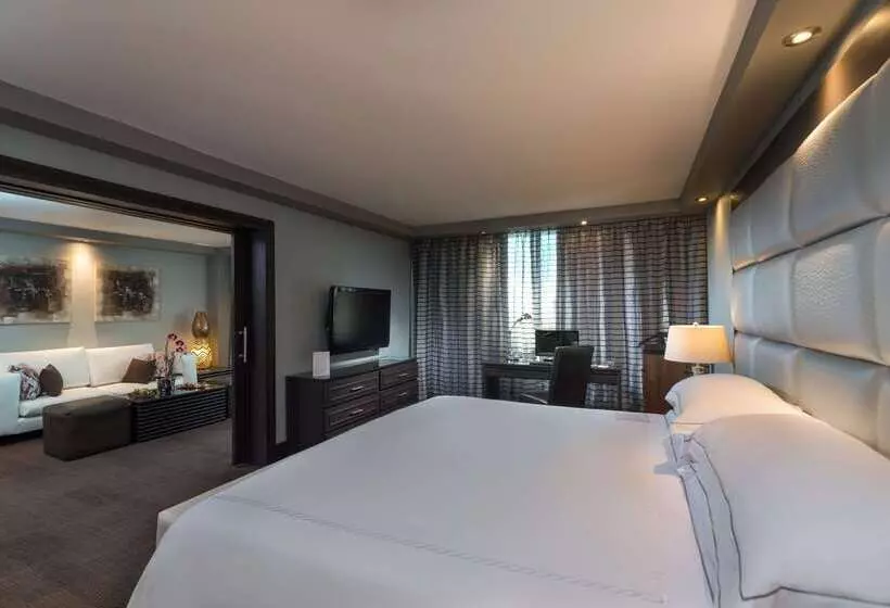 Fotos del hotel Barcelo Santo Domingo:  12