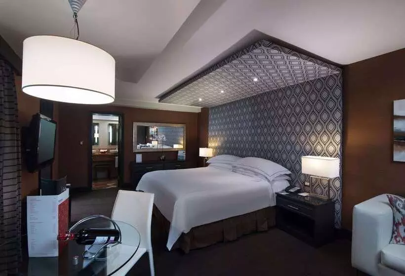 Fotos del hotel Barcelo Santo Domingo:  20