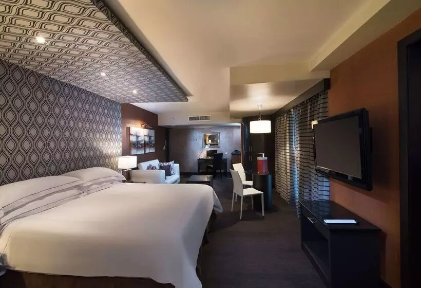 Fotos del hotel Barcelo Santo Domingo:  10