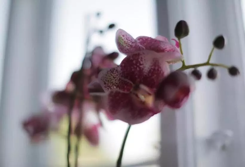 Fotos del hotel Skovshoved:  18