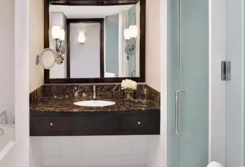 Fotos del hotel Intercontinental Abu Dhabi, An Ihg:  10