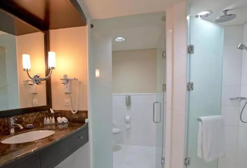 Fotos del hotel Intercontinental Abu Dhabi, An Ihg:  16