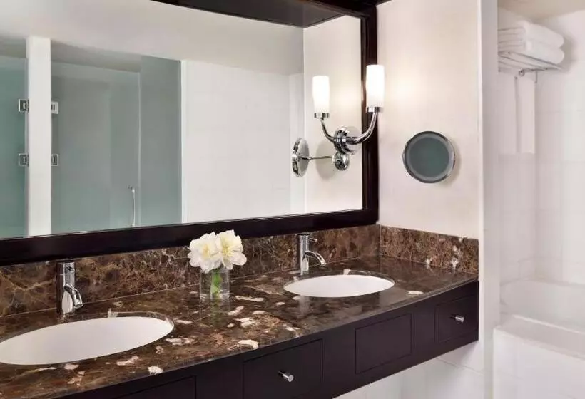 Fotos del hotel Intercontinental Abu Dhabi, An Ihg:  18