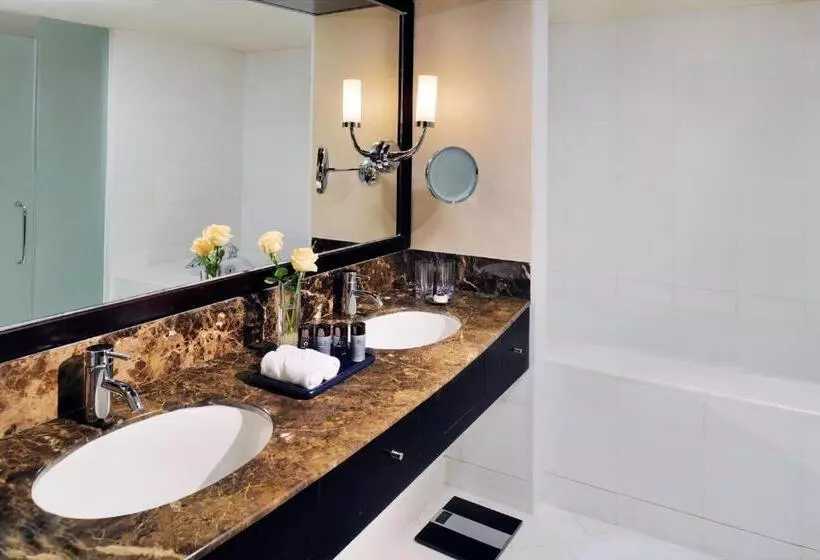 Fotos del hotel Intercontinental Abu Dhabi, An Ihg:  6