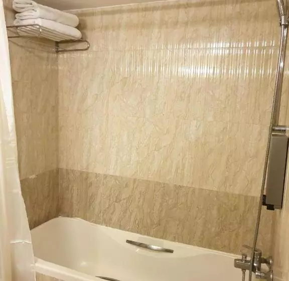 Fotos del hotel Palm Beach:  26