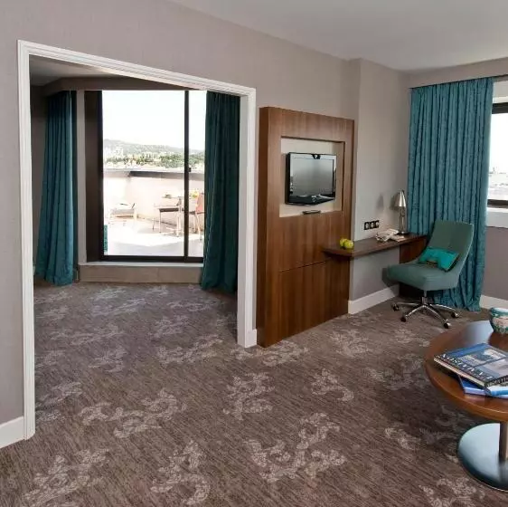 Fotos del hotel Holiday Inn Nice, An Ihg:  9