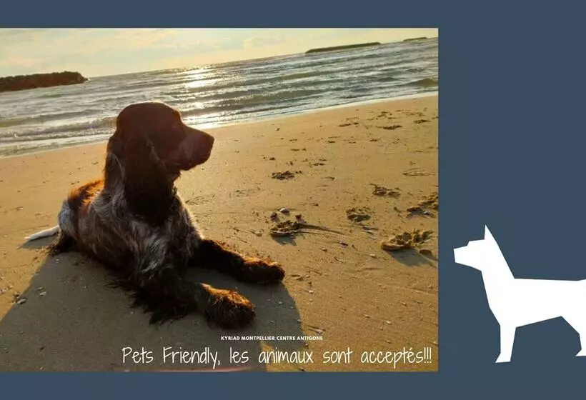 Fotos del hotel Kyriad Hotel Montpellier Centre Antigone:  8