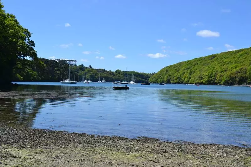 Fotos del hotel Budock Vean:  13