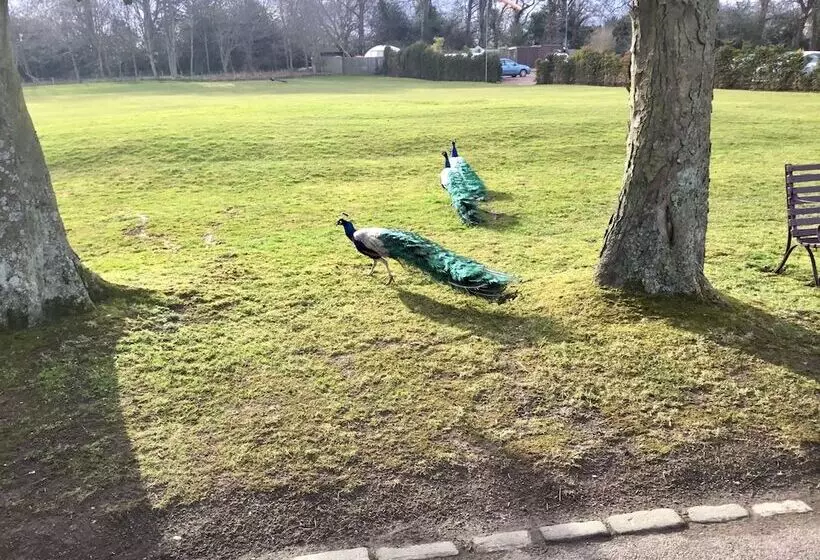 Fotos del hotel Prestonfield House:  18