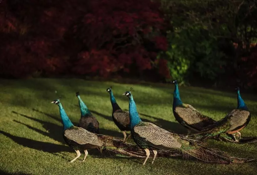 Fotos del hotel Prestonfield House:  5