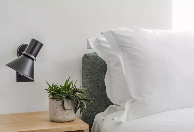 Fotos del hotel My Bloomsbury:  25