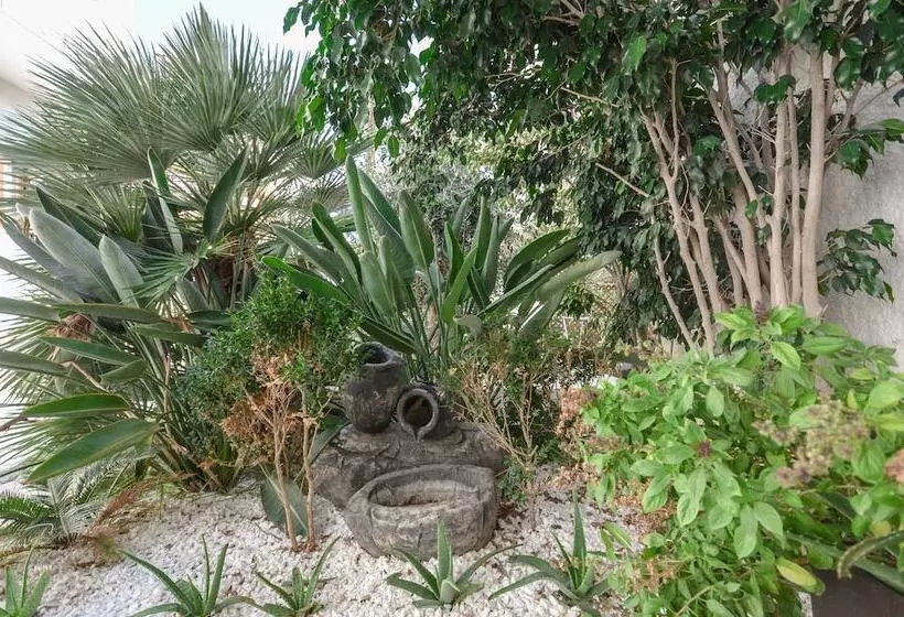 Fotos del hotel Aeolis Boutique Hotel:  6