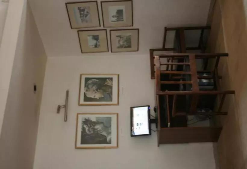 Fotos del hotel Amalia:  9