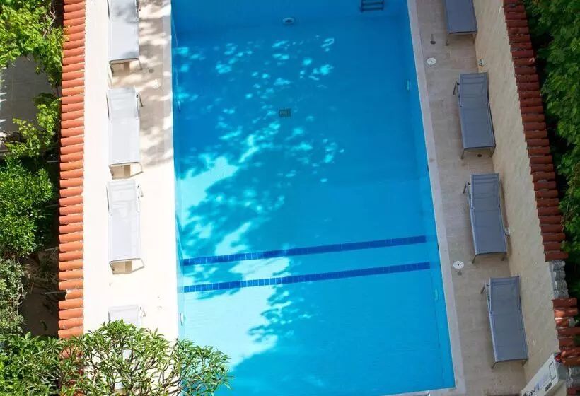 Fotos del hotel Aquamare City+beach:  3