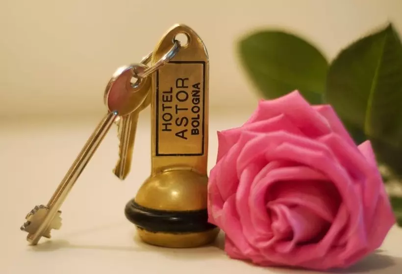 Fotos del hotel Astor:  7