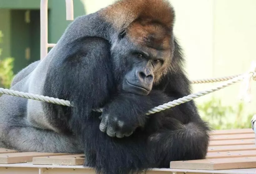 Fotos del hotel Nagoya Kanko:  9