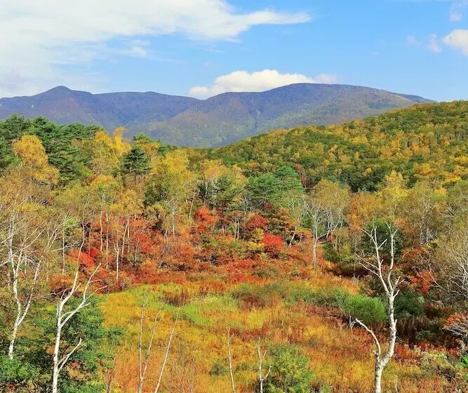 Fotos del hotel Okushiga Kogen:  15
