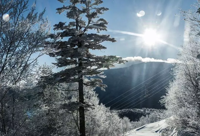 Fotos del hotel Okushiga Kogen:  21