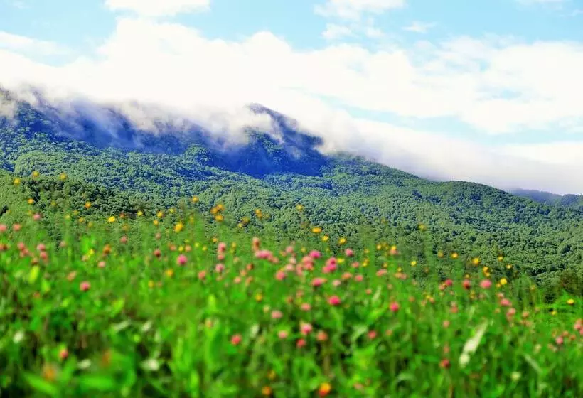 Fotos del hotel Okushiga Kogen:  20