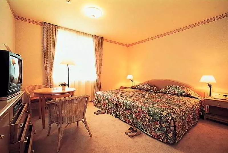 Fotos del hotel Palace Hotel Hakone:  18