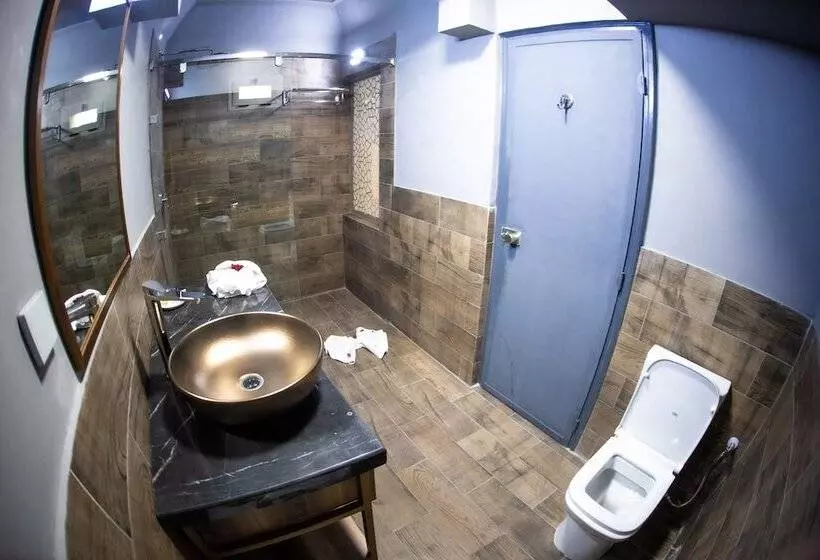 Fotos del hotel Karam Palace:  21