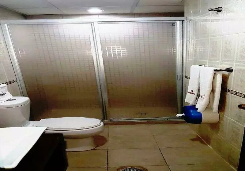 Fotos del hotel Ambassador:  13