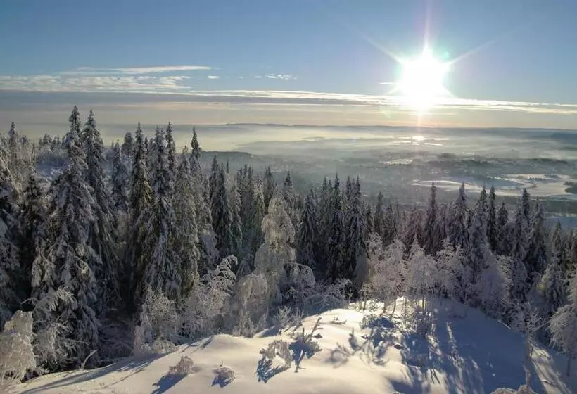 Fotos del hotel Soria Moria Hotell:  14