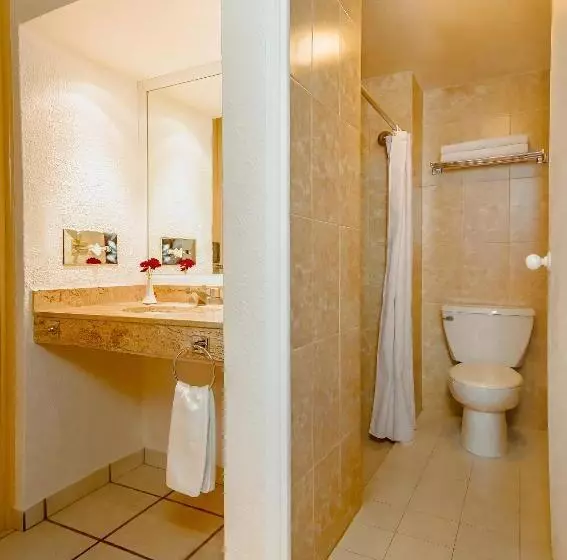 Fotos del hotel Veracruz Centro Histórico:  8