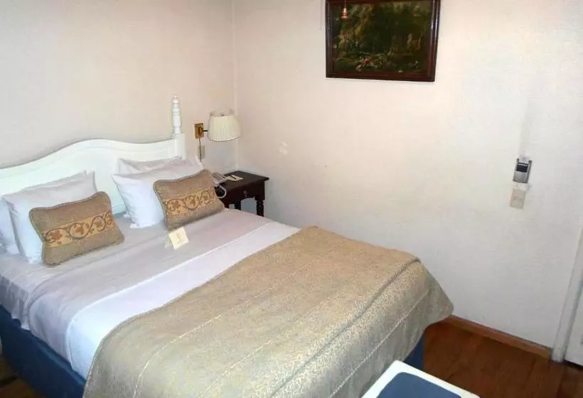 Fotos del hotel Virrey De Mendoza:  14