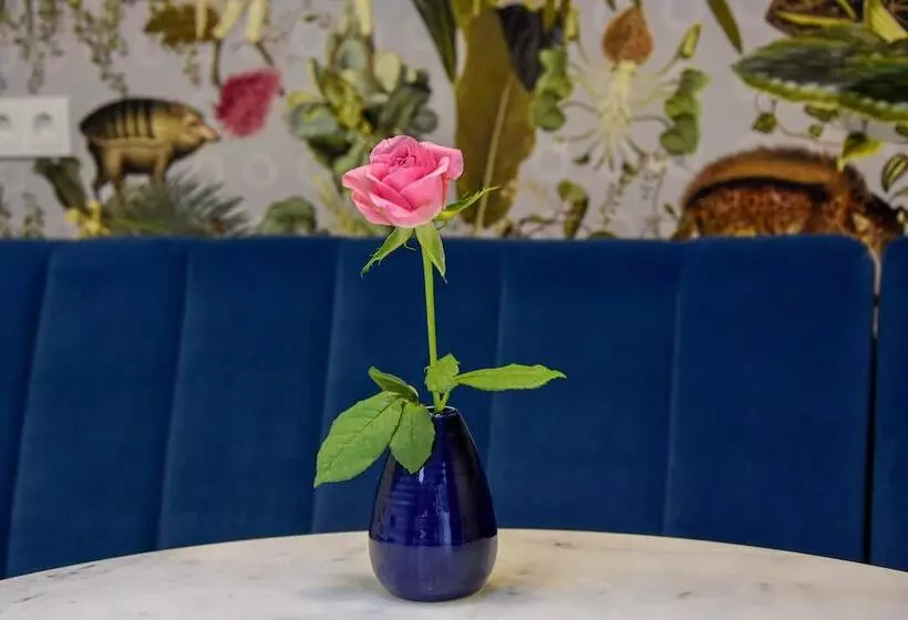 Fotos del hotel Asterisk 3 Star Superior:  14