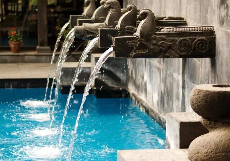 Fotos del hotel Dwarika's:  2