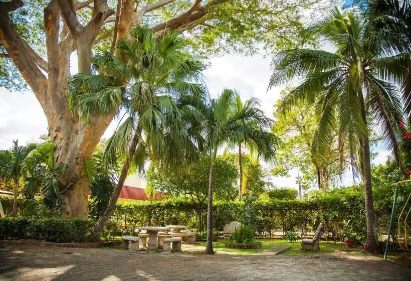 Fotos del hotel Estrella:  25