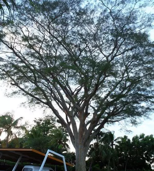 Fotos del hotel Estrella:  16