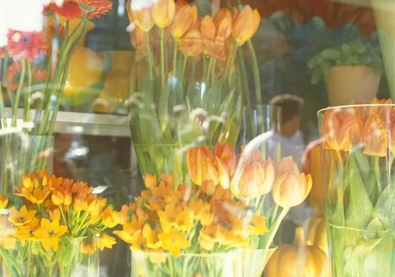 Fotos del hotel Mercure  Amsterdam West:  7